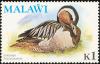 Colnect-864-257-Garganey-Spatula-querquedula.jpg