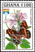 Colnect-5993-189-Table-Mountain-Beauty-Aeropetes-tulbaghia---overprinted.jpg