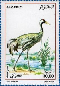 Colnect-465-394-Gray-Crane-Grus-grus.jpg