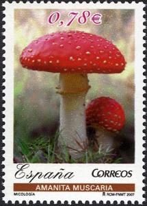 Colnect-577-530-Fly-Agaric-Mushroom.jpg