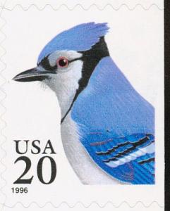 Colnect-1791-531-Blue-Jay-Cyanaocitta-cristata.jpg