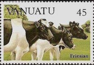 Colnect-1231-115-Friesian-Dairy-Cows-Bos-primigenius-taurus.jpg