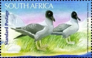 Colnect-1615-177-Light-mantled-Sooty-Albatross-Phoebetria-palpebrata-.jpg