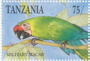 Colnect-1745-619-Military-Macaw%C2%A0Ara-militaris.jpg