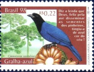 Colnect-2279-952-Azure-Jay-Cyanocorax-caeruleus-.jpg