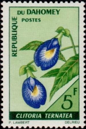 Colnect-3596-767-Butterfly-pea-Clitoria-ternatea.jpg