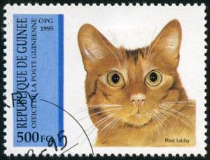 Colnect-3726-996-Red-Tabby-Felis-silvestris-catus.jpg