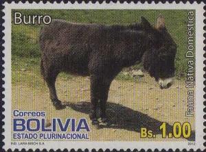 Colnect-4301-560-Donkey-Equus-asinus-asinus.jpg