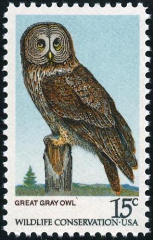 Colnect-4845-808-Great-Grey-Owl-nbsp-Strix-nebulosa.jpg