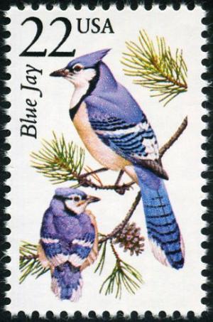 Colnect-5026-788-Blue-Jay-Cyanaocitta-cristata.jpg