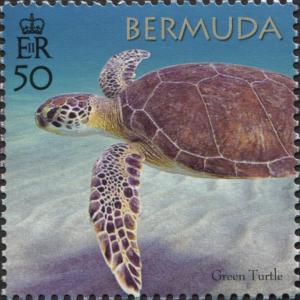 Colnect-5748-142-50th-Anniversary-of-the-Bermuda-Turtle-Project.jpg