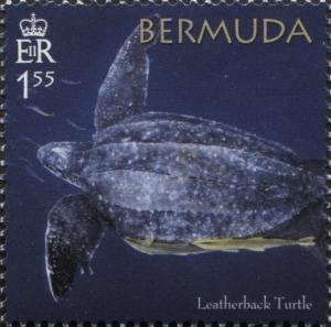 Colnect-5748-145-50th-Anniversary-of-the-Bermuda-Turtle-Project.jpg