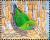 Colnect-3742-532-Finsch--s-Pygmy-Parrot-Micropsitta-finschii.jpg