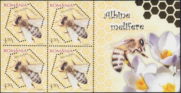 Colnect-6113-986-Caucasian-Honey-Bee-Apis-mellifera-caucasica.jpg