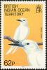 Colnect-1553-524-Fairy-Tern-Sterna-nereis.jpg