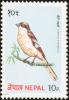 Colnect-1785-947-Great-Grey-Shrike-Lanius-excubitor.jpg