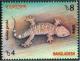 Colnect-1917-837-Tokay-Gecko-Gekko-gecko.jpg