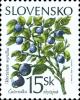 Colnect-1940-568-Bilberry---Vaccinium-myrtillus.jpg