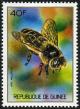 Colnect-2187-338-Honey-Bee-Apis-mellifica.jpg