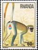 Colnect-2667-436-Vervet-Monkey-Cercopithecus-pygerythrus.jpg