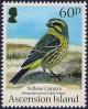 Colnect-3409-415-Yellow-Canary-nbsp-Serinus-flaviventris.jpg