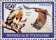 Colnect-6537-739-Tawny-Eagle-Aquila-rapax.jpg