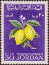 Colnect-1962-061-Lemons.jpg