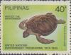 Colnect-2945-037-Turtle.jpg