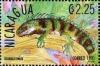 Colnect-3478-095-Iguana.jpg