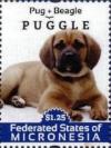 Colnect-5782-077-Puggle.jpg