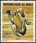 Colnect-1863-081-Maize.jpg