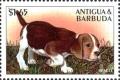 Colnect-4127-063-Beagle.jpg