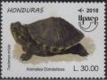 Colnect-5243-060-Turtle.jpg