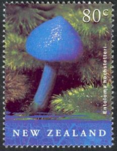 NZ008.02.jpg