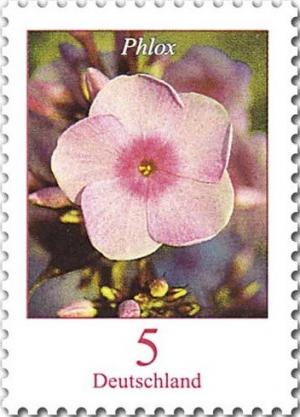 Colnect-4016-007-Phlox.jpg