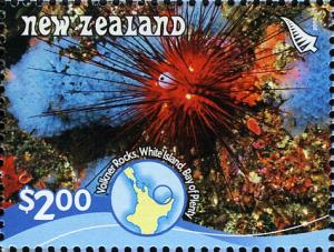 NZ004.08.jpg