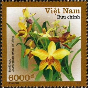 VN005.08.jpg