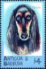 Colnect-4100-007-Saluki.jpg