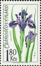 Colnect-414-057-Iris.jpg