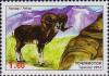 Colnect-3875-112-Argali.jpg