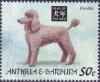 Colnect-5183-136-Poodle.jpg