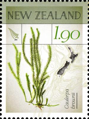 NZ007.14.jpg