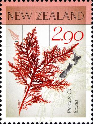 NZ009.14.jpg