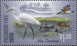 NZ077.18.jpg