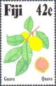 Colnect-3145-199-Guava.jpg