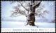 Colnect-5199-126-Winter.jpg