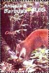 Colnect-4101-225-Coati.jpg