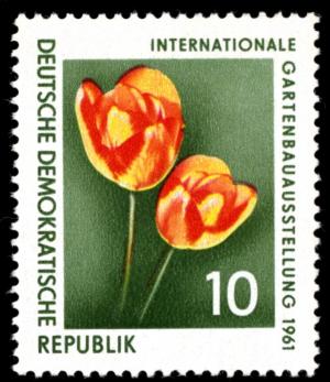 Colnect-1973-256-Tulips.jpg