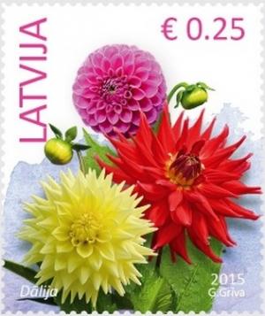 Colnect-2655-214-Dahlia.jpg