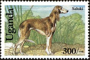 Colnect-6297-280-Saluki.jpg